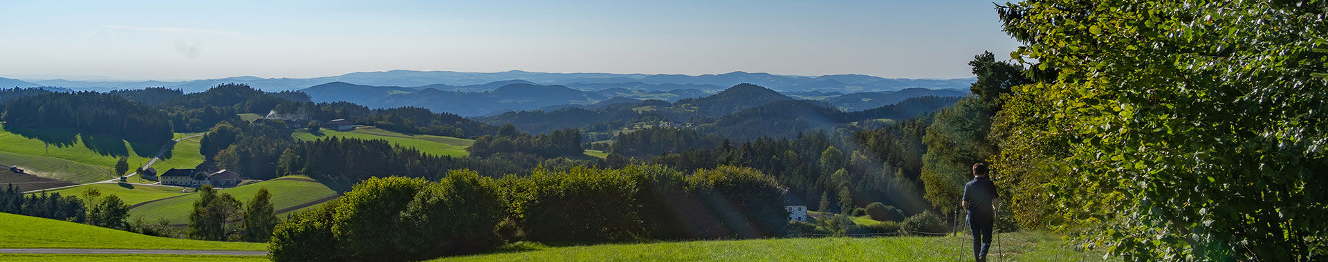 Blick in die Mühlviertler Hügelwelt